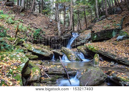 Small fast flowing stream in the forest.