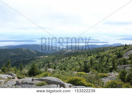 Pine tree view of Cadillac Mountain in Maine.