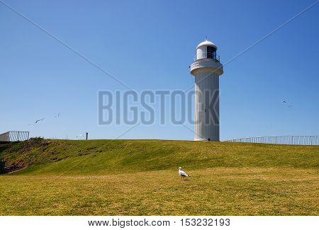 View of Lighthouse at Wollongong NSW Australia.