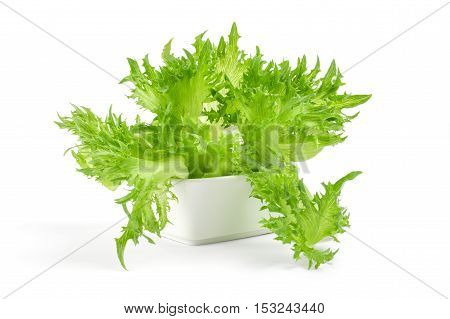 Fresh lettuce in bowl isolated on white background.