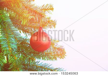 Red ball decoration and christmas tree on white background