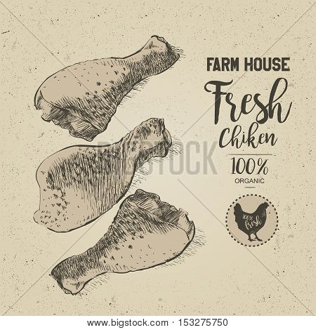 Fresh chicken legs. Top view. Isolated on a white vintage vector isolated sketch hand drown