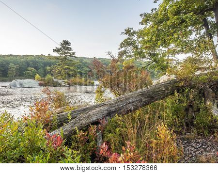 Harriman State Park New York State in autumn by lake beauty in nature