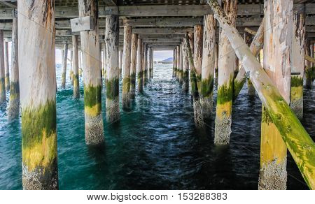 Under the pier Fabrikkaia (factory pier) in Vadso, Norway