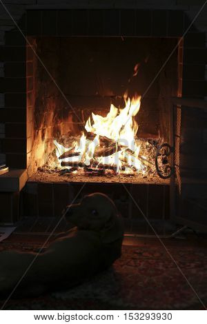 flames of burning firewood in a fireplace