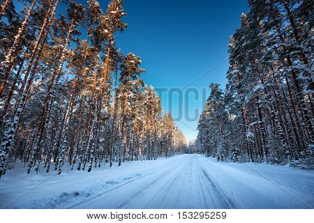 Asphalt road in snowy winter on beautiful frosty sunny day