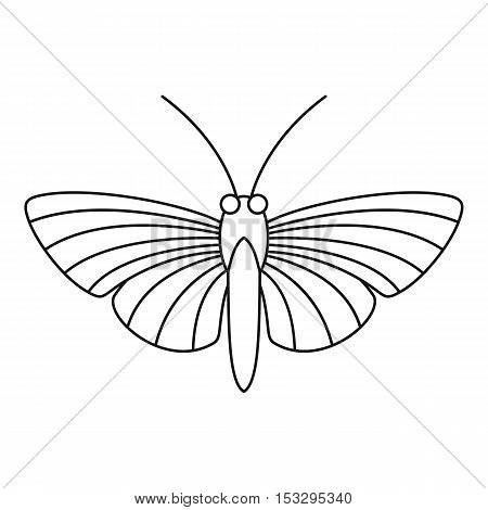 Hawk moth butterfly icon. Outline illustration of hawk moth butterfly vector icon for web