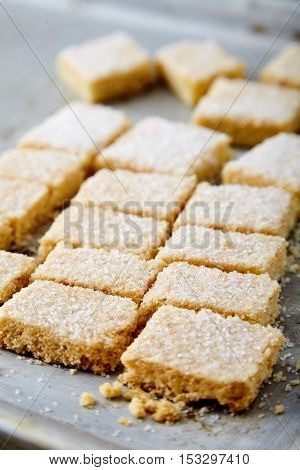 Delicious homemade sugar cookies made from semolina, butter, flour and sugar. Crumbly, delicate texture, the sugar crust on top. A little sweetness to the tea on gray background. Selective focus