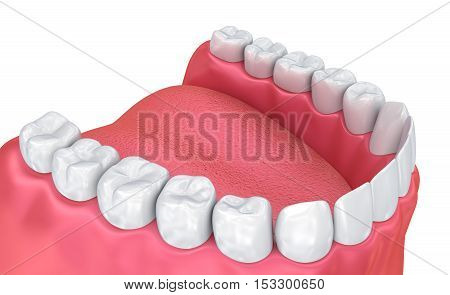 Mouth gum and teeth. Medically accurate tooth 3D illustration