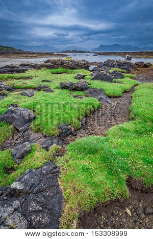 Green Coastline At Low Tide In Scotland