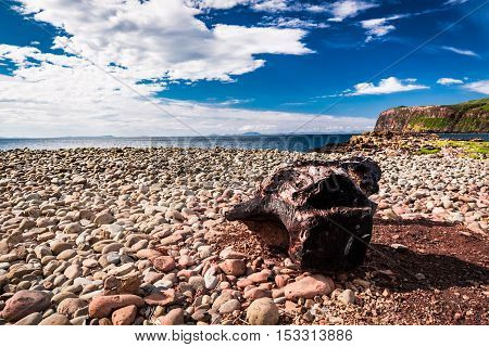 Rocky Shore By The Sea In Scotland