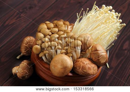 Mushroom three kind Shimeji Shiitake and Enokitake for healthy.