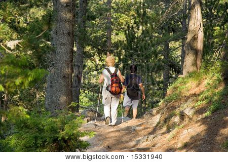 Senioren wandeltochten in het bos