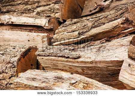 woodpile, logs for firewood texture background in autumn, ready for winter