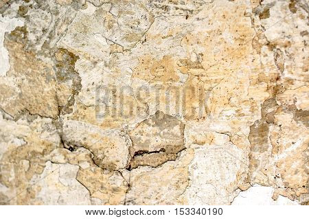 Damaged wall texture with old aged weathered paint and plaster cracked on the surface, building in need of repair, background