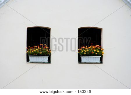 Jardiniere