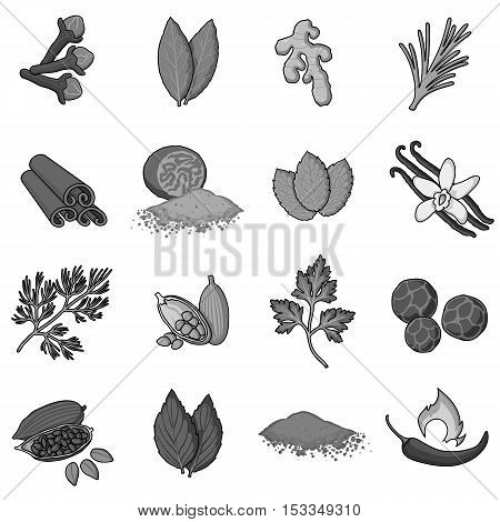 Herb and spices set icons in monochrome style. Big collection of herb and spices vector symbol stock