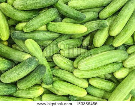 Closeup surface pile of fresh cucumber textured background