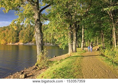 Autumn trees on the river Perce in city Koknese in Latvia