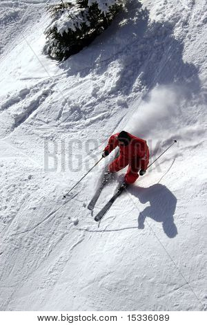Le skieur