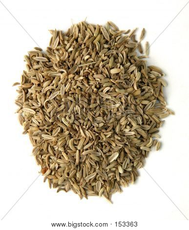 Komijn Spice
