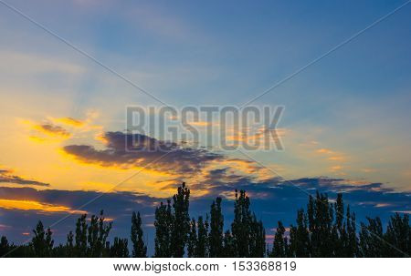 landscape with dramatic light - orange clouds and the outline of trees at sunset