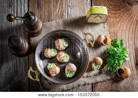 Homemade snails with garlic butter and hebrs