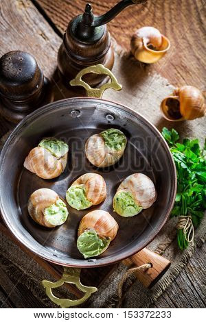 Delicious snails with hebrs and garlic butter