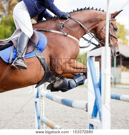 Young rider girl on horse jumping over obstacle on her course in competition. Close up image of show jumping