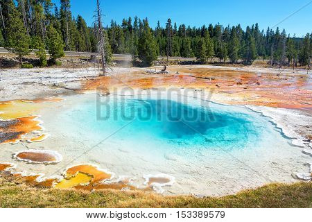 Silex Spring View