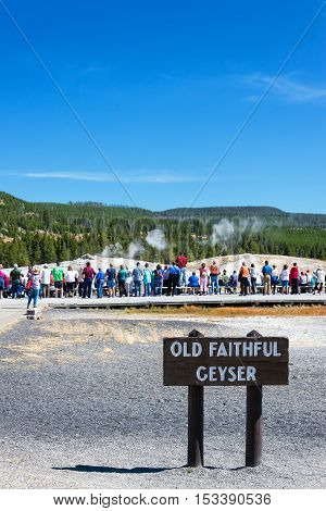 Crowd Waiting For Old Faithful