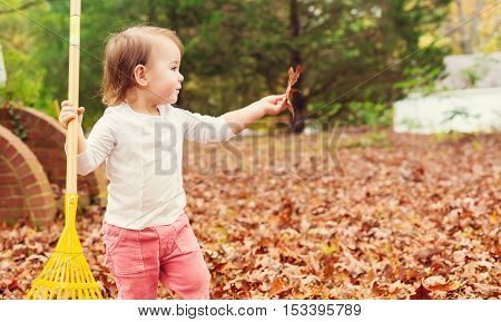 A toddler girl raking leaves in autumn