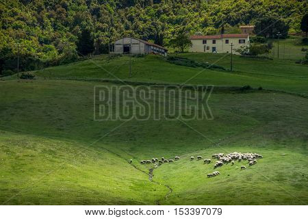 Querceto, Montecatini Val Di Cecina, Pisa - Italy