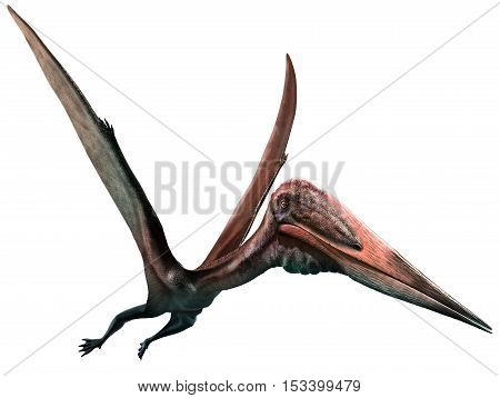 Zhejiangopterus from the Cretaceous era 3D illustration