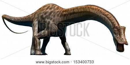Diplodocus from the Jurassic era 3D illustration
