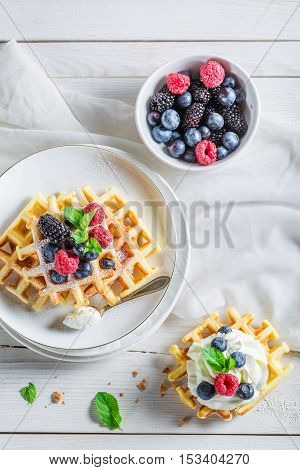 Tasty Berries With Waffels And Whipped Cream