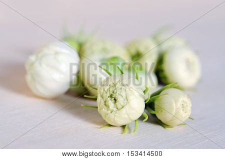 Jasmine Flowers Grouped On Wooden Board Background