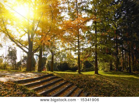 Autunno nel parco
