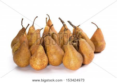 Bosc Pears varieties on a white background