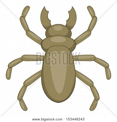Beetle woodworm icon. Cartoon illustration of beetle woodworm vector icon for web