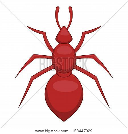 Ant icon. Cartoon illustration of ant vector icon for web
