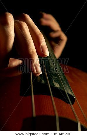 นักดนตรีเล่น contrabass