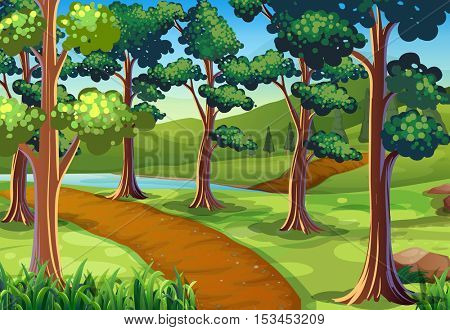 Scene with hiking trail in the woods illustration