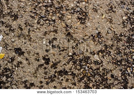 Asphalt, asphalt texture, wet asphalt, scabrous asphalt background, asphalt pattern, grunge background, abstract