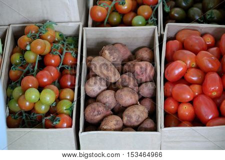 Vegetable At Safety Agriculture Fair