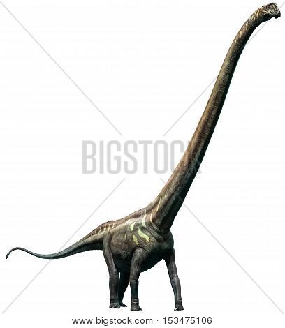 Mamenchisaurus from the Jurassic era 3D illustration