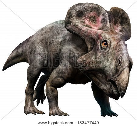 Protoceratops from the Cretaceous era 3D illustration