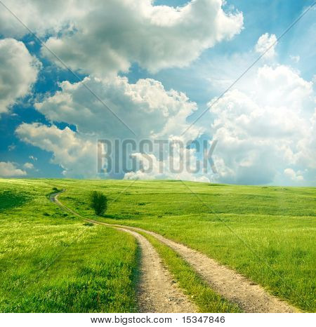 夏天风景与绿草、 路和云