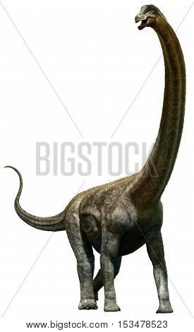 Puertasaurus from the Cretaceous era 3D illustration