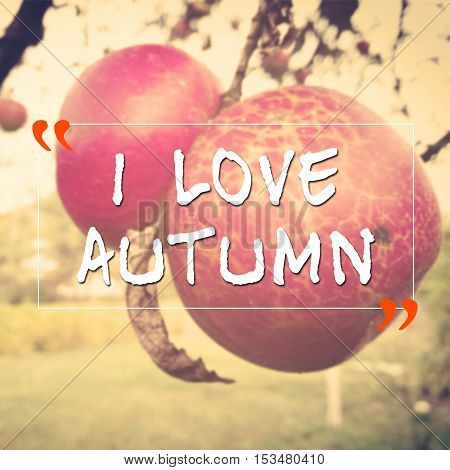 Morivational Quote With I Love Autumn Text